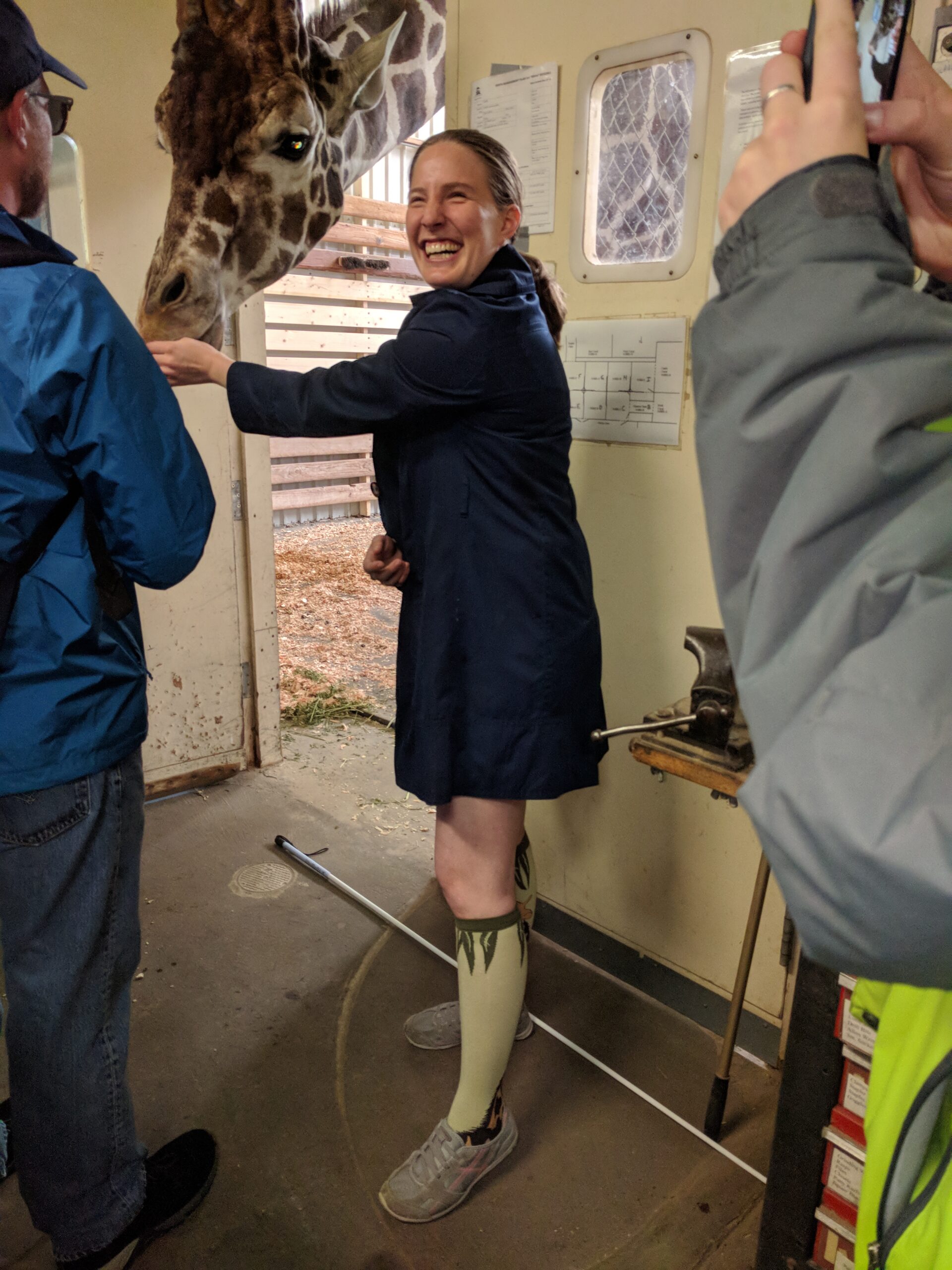 Cynthia is feeding a live giraffe, which leans its head down to eat from her hand. Cynthia is laughing out loud, and her expression is full of excitement with a hint of unease. She is surrounded by a zookeeper and a friend, who is also taking a picture of the moment. Cynthia wears giraffe socks, and her cane lies at her feet.